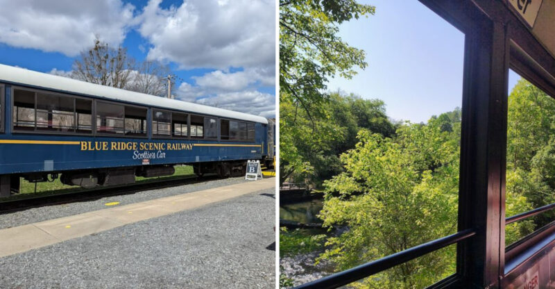 The Unforgettable Train Ride In Georgia That Has People Driving Hours To Experience It