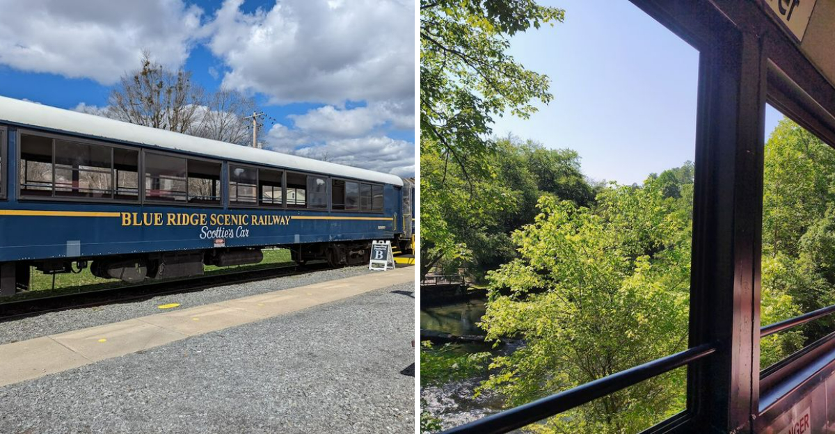 The Unforgettable Train Ride In Georgia That Has People Driving Hours To Experience It - Decor Hint