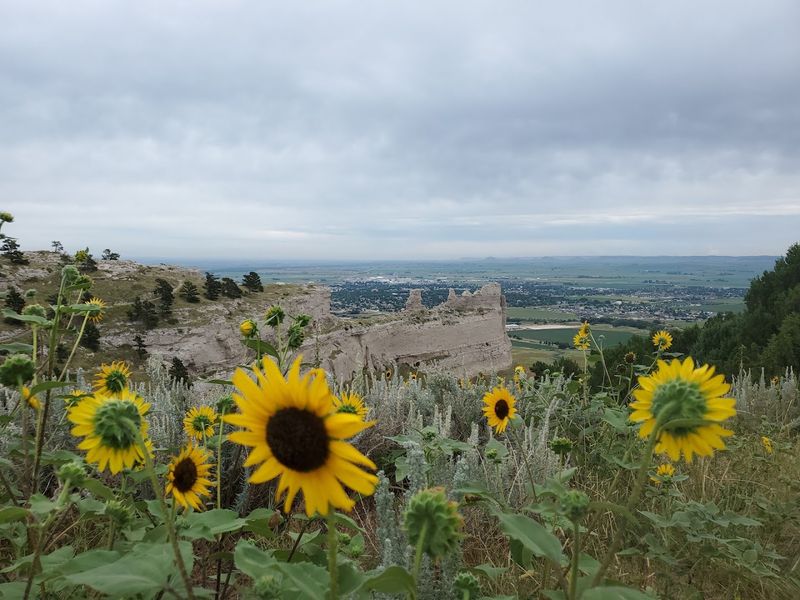 Wildlife And Nature Around The Monument