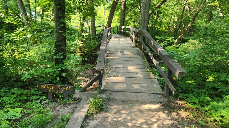 The Forest Keeps The Path Shady