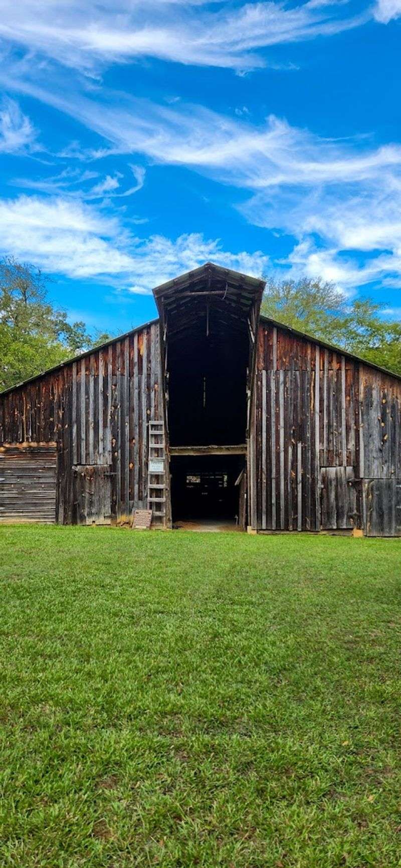 The Charming Georgia Trail Where Unexpected Peacock Encounters Make Every Visit Unforgettable - Decor Hint The Historic Outbuildings And Farm Structures
