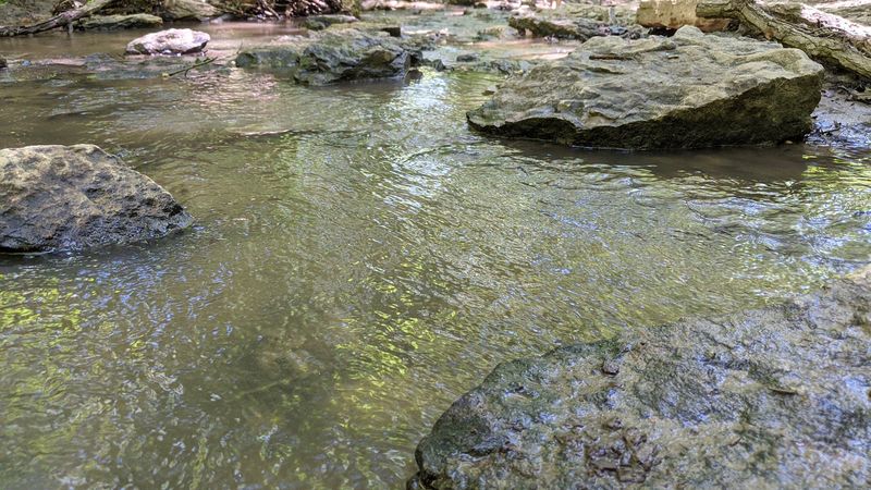 The Creek Becomes Part Of The Adventure