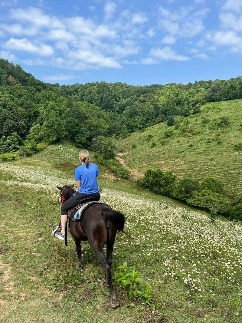 Great Smoky Mountains Scenery Does Most Of The Showing Off