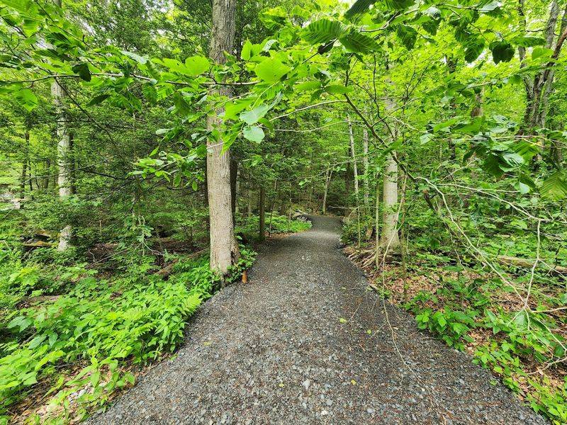 Trails That Reward Every Type Of Hiker