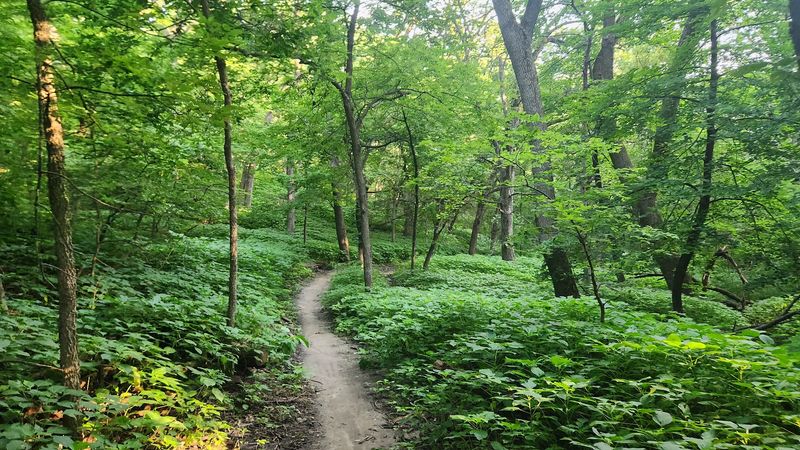 The Walk Starts Near The Lower Parking Lot