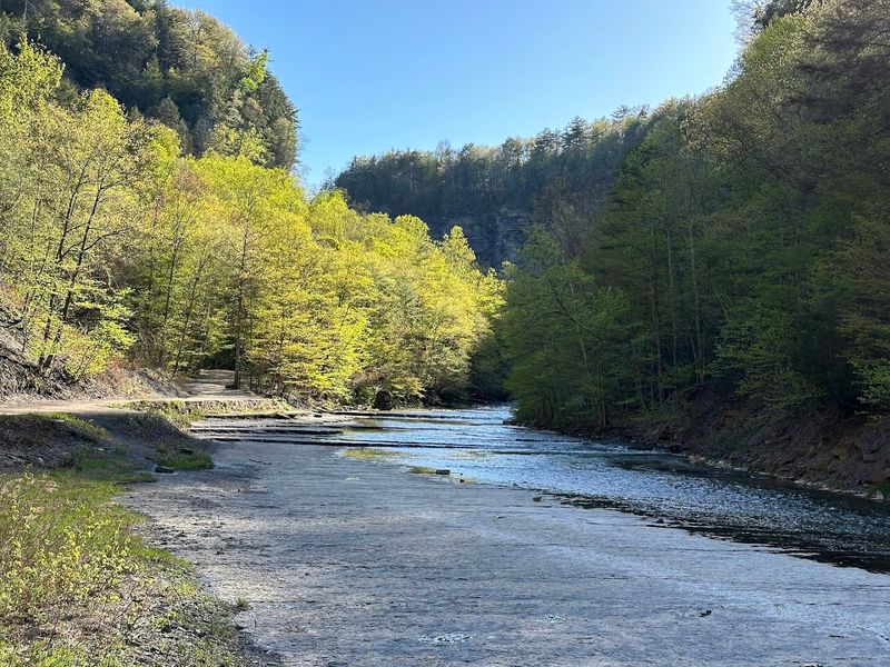 Creek Bed Bonus Adventure