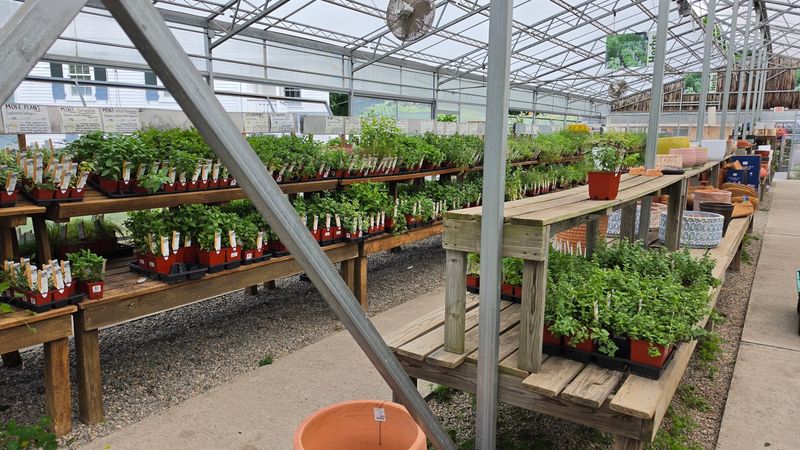 This Connecticut Herb Farm Is Filled With Fragrant Gardens Most People Never Knew Existed - Decor Hint Gardening Classes Bring Practical Knowledge To Visitors