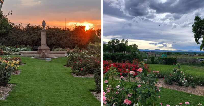 There Is A Beautiful Rose Garden In Colorado Most People Don’t Know About