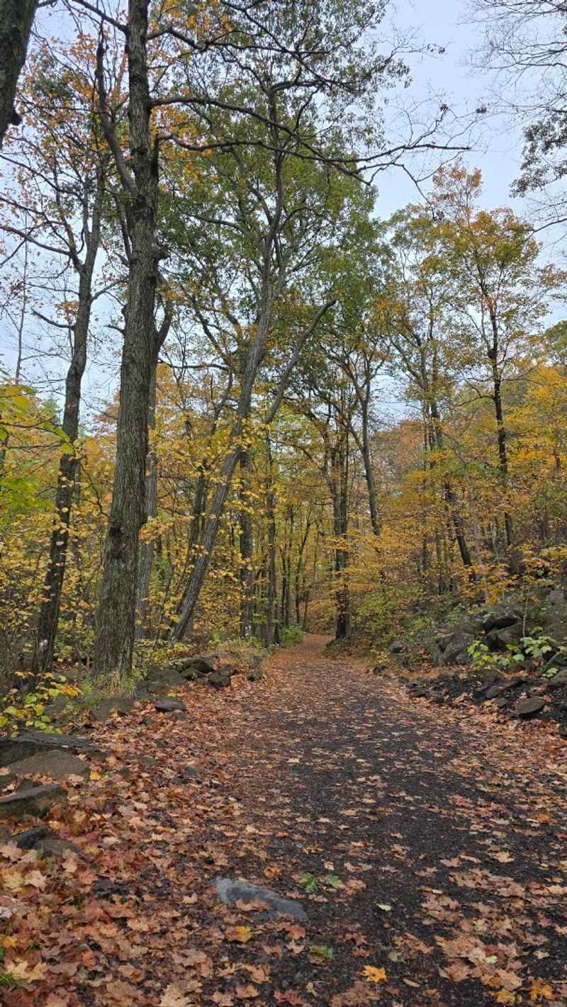 These 10 Beginner-Friendly Hiking Trails In Connecticut Are Worth Discovering This Year - Decor Hint Tower Trail At Sleeping Giant State Park, Hamden