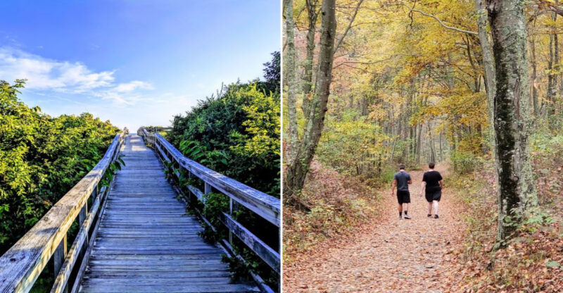 These 10 Beginner-Friendly Hiking Trails In Connecticut Are Worth Discovering This Year