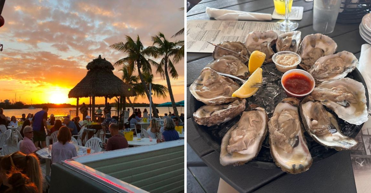 These 10 Florida Shacks Serve Seafood Meals You Would Happily Travel For - Decor Hint