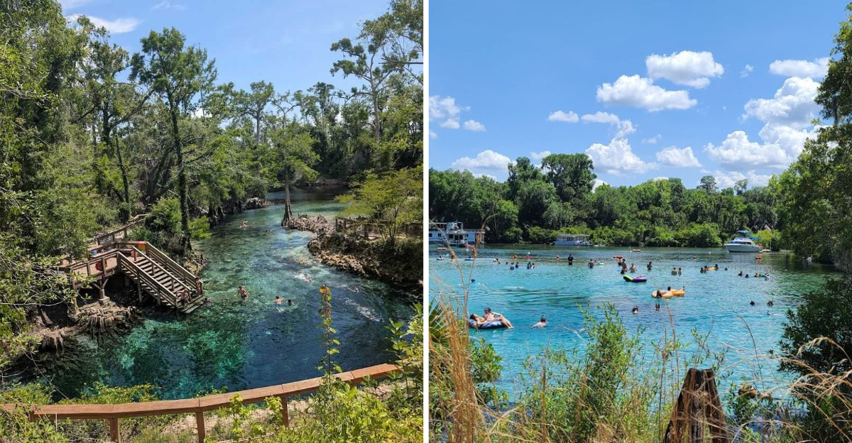 These 10 Hidden Florida Swimming Spots Are Made For Hot Summer Days - Decor Hint