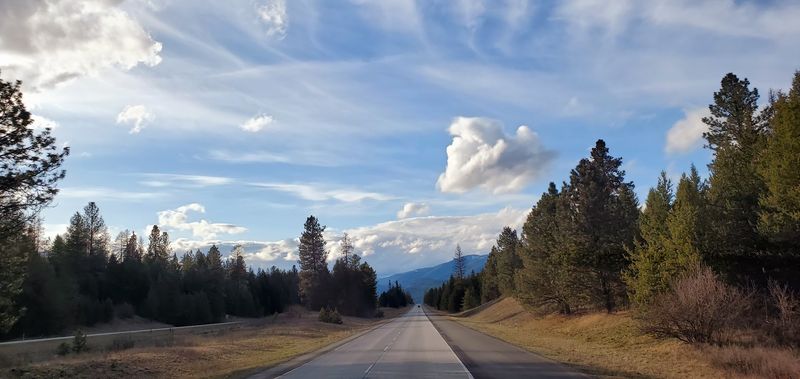 Silver Valley 
