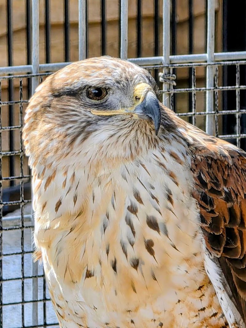 These 10 Nebraska Nature Escapes Come Alive With Wildflowers And Birds Every Summer - Decor Hint Fontenelle Forest, Bellevue
