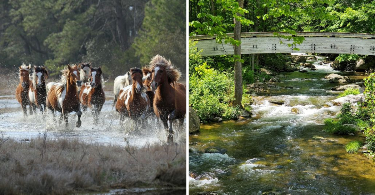 These 10 Virginia Road Trips Will Change Summer For The Better 2 - Decor Hint