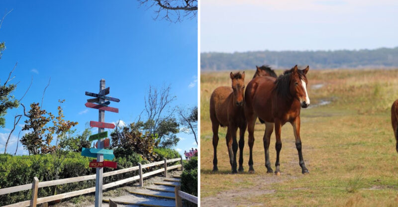 These 11 Florida State Parks Are Just As Impressive As Crowded National Parks