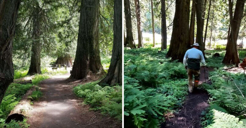 These 12 Shaded Idaho Trails Are Made For Hot August Days