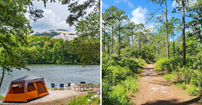 These 13 Dog-Friendly Campgrounds In Georgia You’ll Want To Book