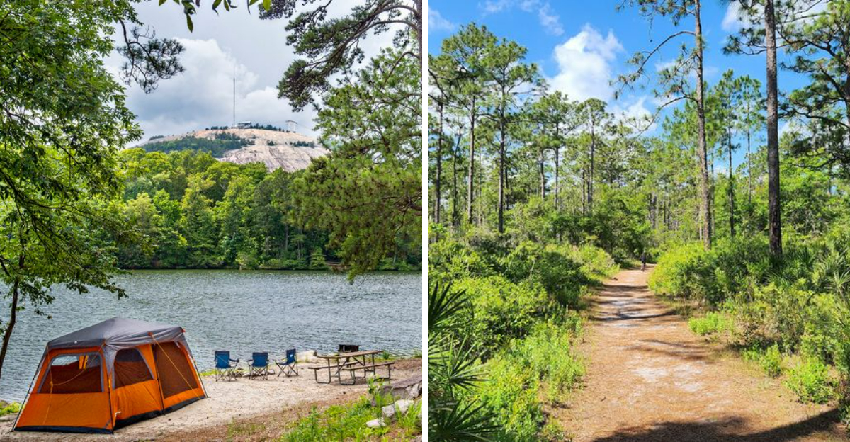 These 13 Dog Friendly Campgrounds In Georgia Youll Want To Book - Decor Hint