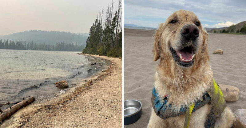 These 13 Dog-Friendly Idaho Lake Beaches Every Pet Parent Should Know In 2026