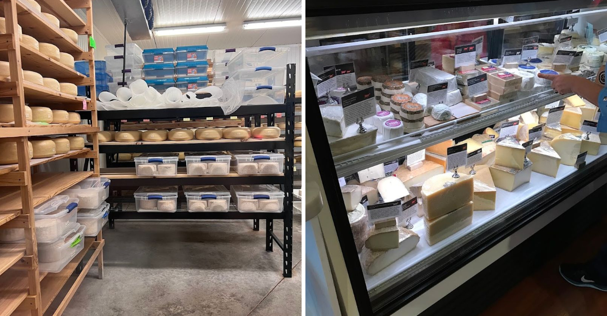 These 13 Florida Cheese Shops And Creameries Happily Welcome Visitors - Decor Hint