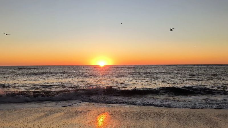These 9 North Carolina Coastal Spots Where Beachcombers Find Unexpected These 9 North Carolina Coastal Spots Where Beachcombers Find Unexpected