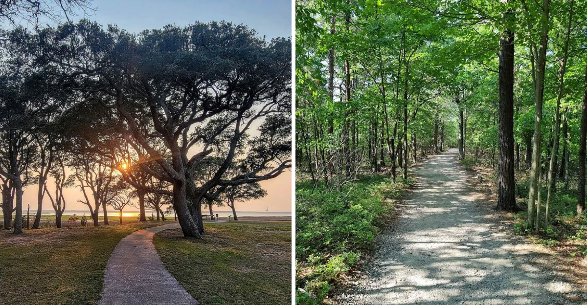 These 9 North Carolina Trails Prove A Short Hike Can Still Feel Like A Big Adventure - Decor Hint