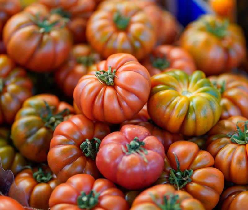 These Idaho Farms Grow The Kind Of Tomatoes Grocery Stores Cannot Compete With - Decor Hint Deerfield Farms