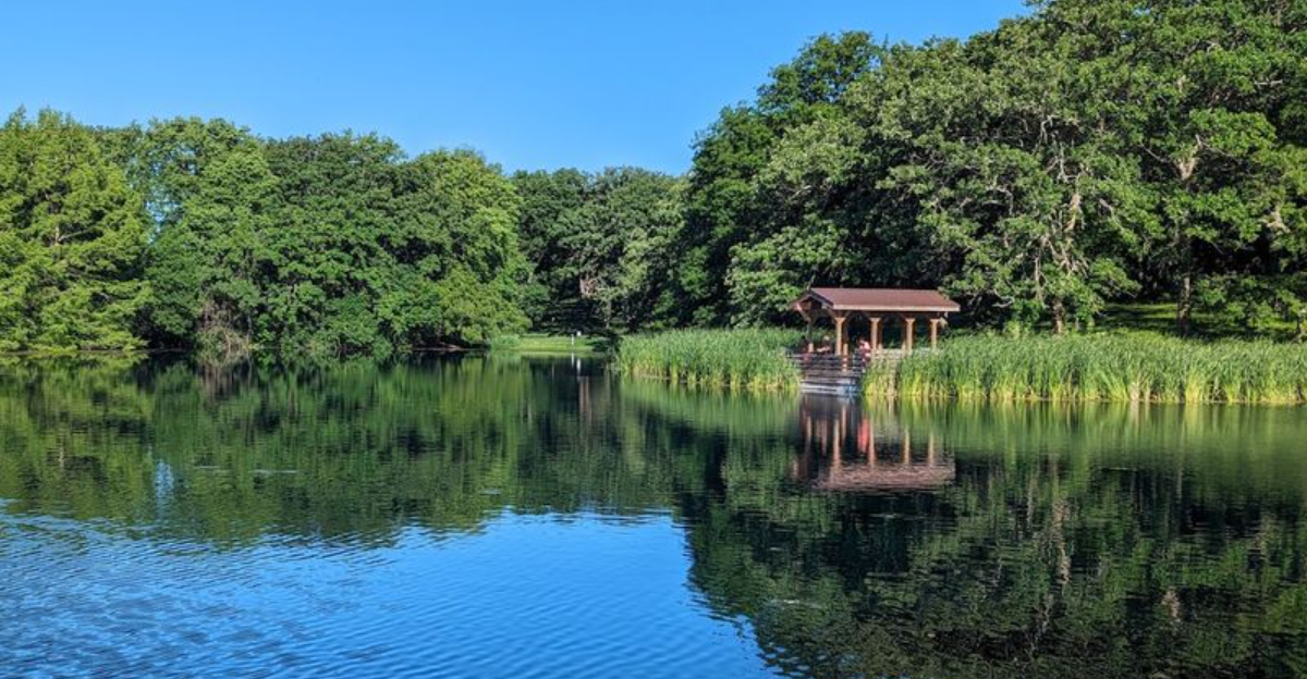 These Nebraska Areas Have Seen The Most Tick Activity This Summer - Decor Hint