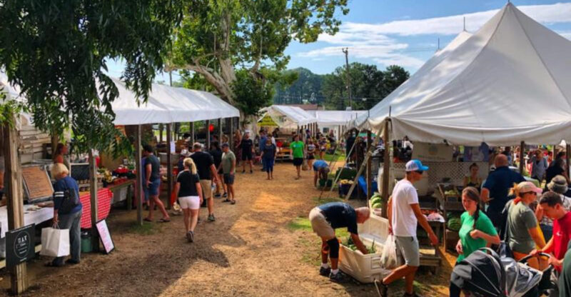 These North Carolina Farmers Markets Everyone Is Visiting Right Now