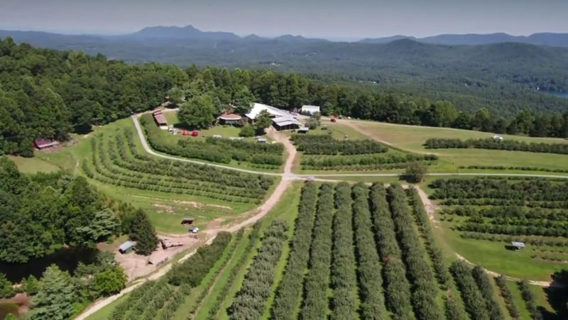 Sky Top Orchard