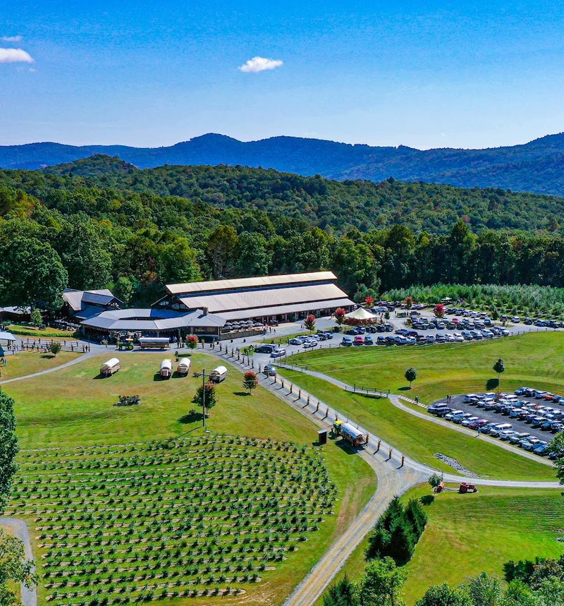 Jeter Mountain Farm
