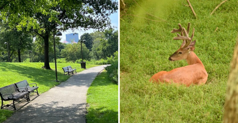These Senior-Friendly Kentucky Walking Trails Have Benches, Plenty Of Shade, And Wildlife Views