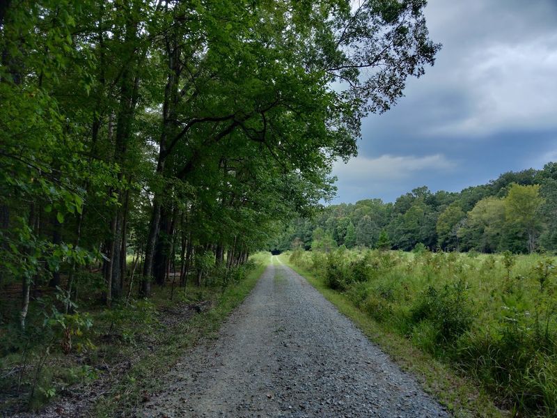 Follow The 1.8-Mile Old Farm Trail Through A Landscape Few Drivers Notice