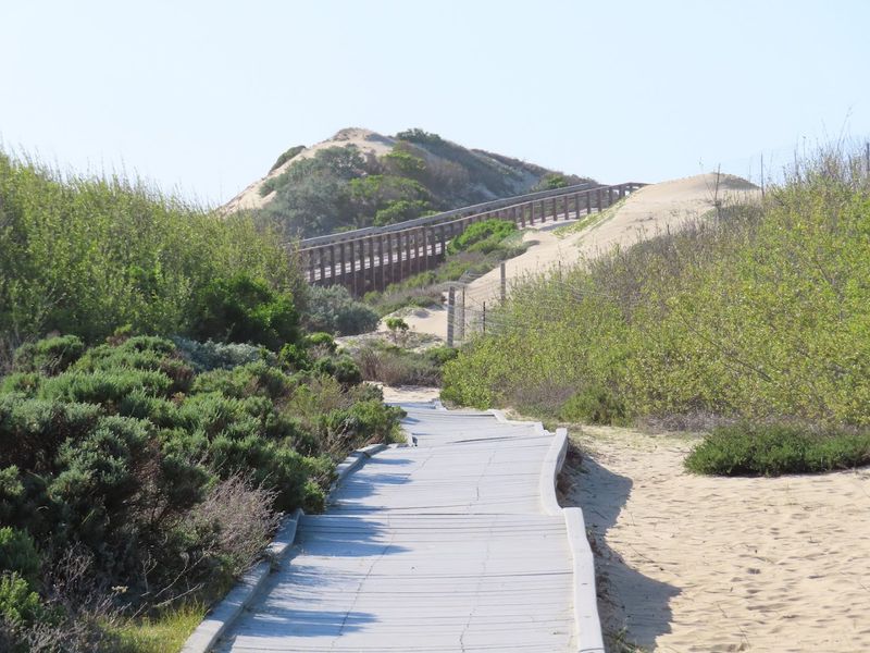 The Trail Covers Two Easy Miles Round Trip