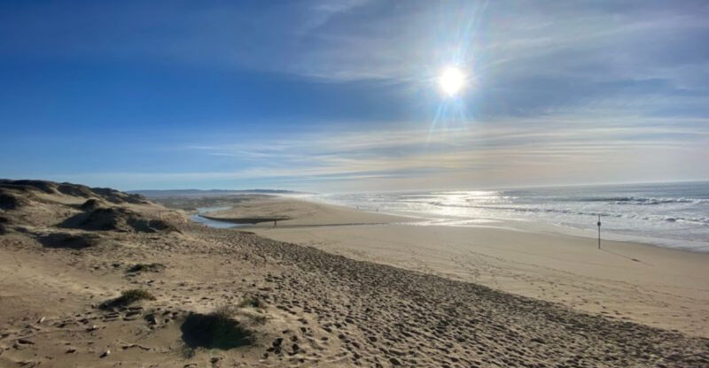 This 2-Mile California Boardwalk Trail Crosses A Coastal Lake Before Reaching The Pacific