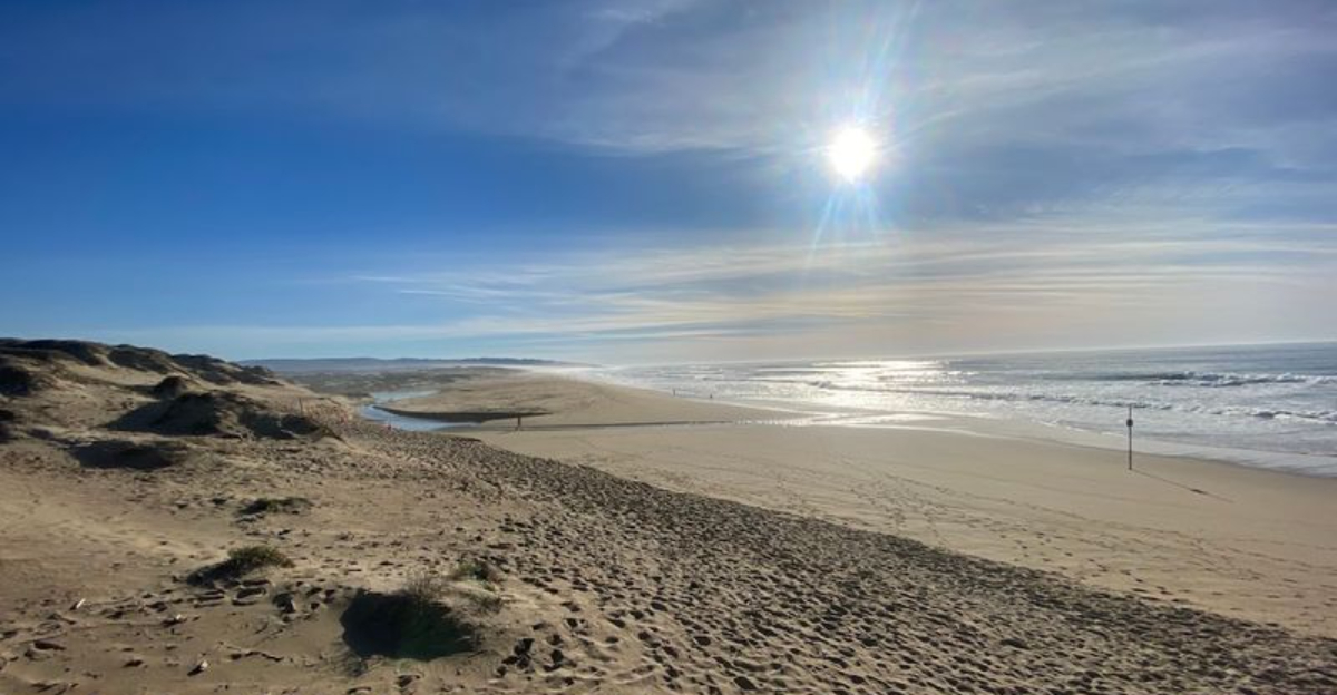 This 2 Mile California Boardwalk Trail Crosses A Coastal Lake Before Reaching The Pacific - Decor Hint