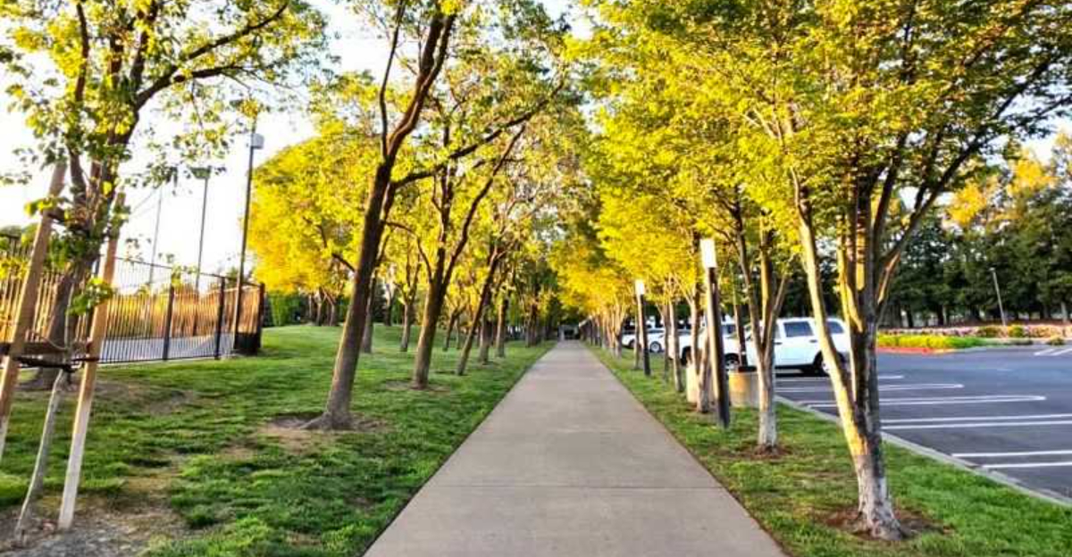 This 32 Mile Northern California Bike Trail Follows An Old Railroad Through Six Parks And Five Downtowns - Decor Hint