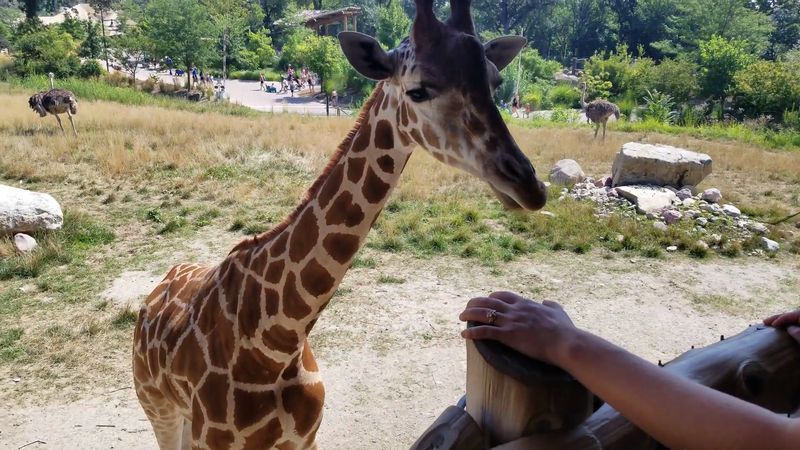 A Zoo That Rewrites Expectations