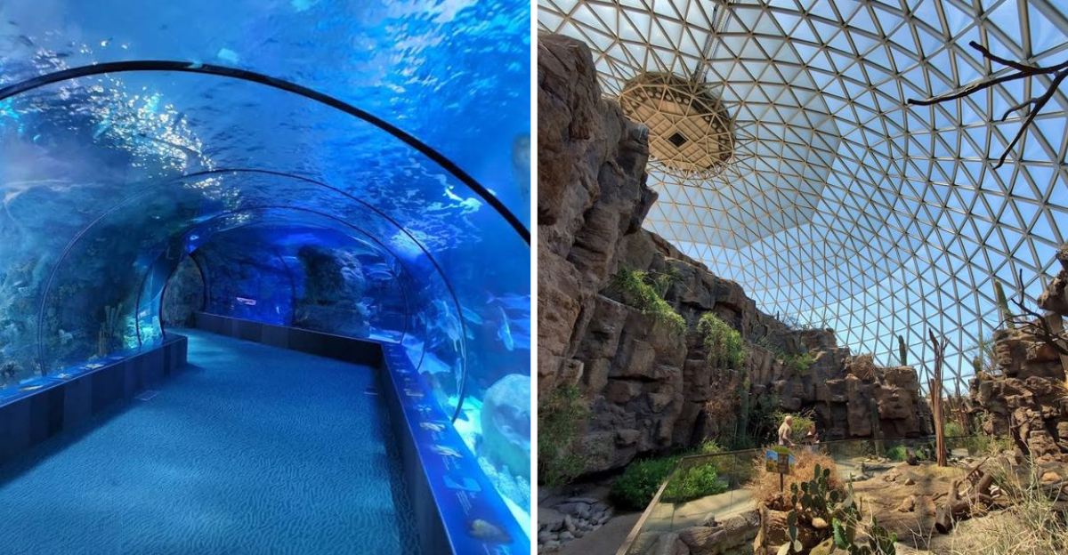 This Accredited Nebraska Zoo And Aquarium Is One Of The States Biggest Attractions - Decor Hint