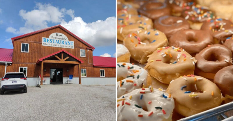 This Amish Bakery In Kentucky Serves Some Of The Freshest Donuts Around