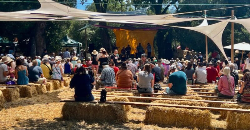 This Beloved California Apple Fair Packs Two Days With Pies, Piglet Races, And Live Music