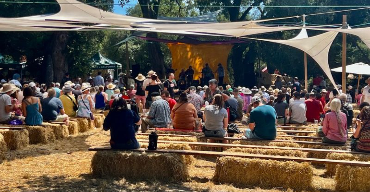 This Beloved California Apple Fair Packs Two Days With Pies Piglet Races And Live Music - Decor Hint