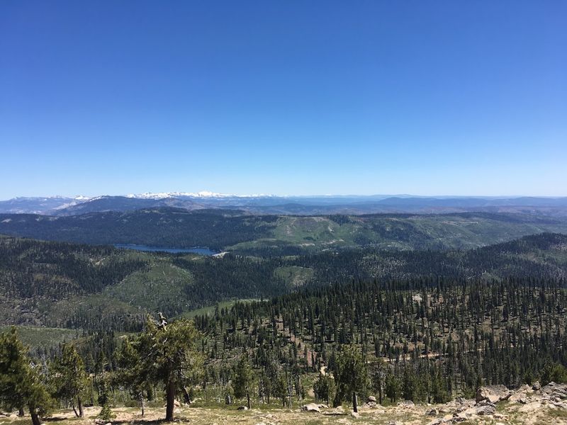 The Caldor Fire Left A Massive Restoration Challenge