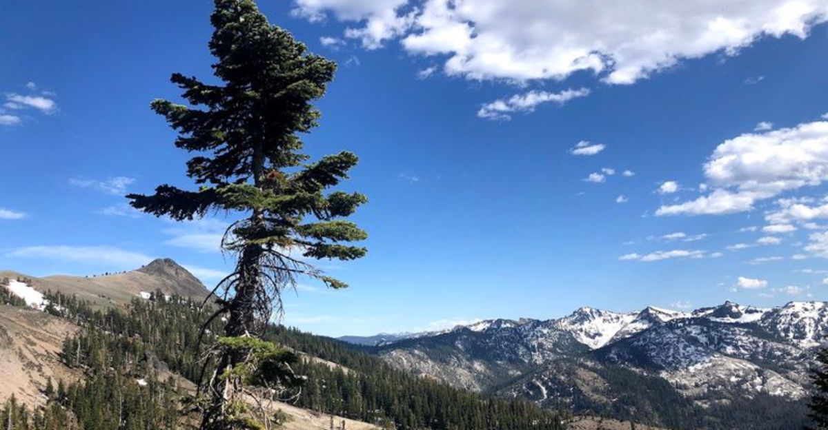 This Beloved California Lake Is Now At The Center Of A Fierce Environmental Fight - Decor Hint