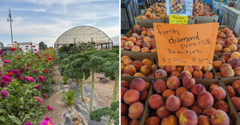 This Beloved Idaho Country Market Is Worth Visiting For Local Produce And Farm-Fresh Finds