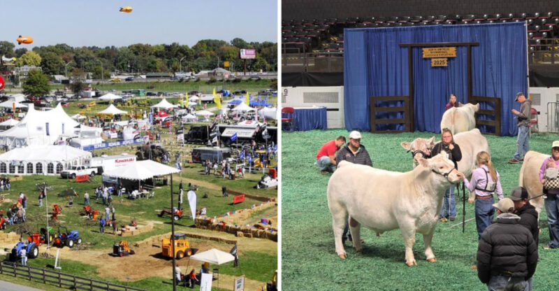 This Beloved Kentucky Tradition Turns 122 This Year And Its 2026 Celebration Is The Biggest Yet