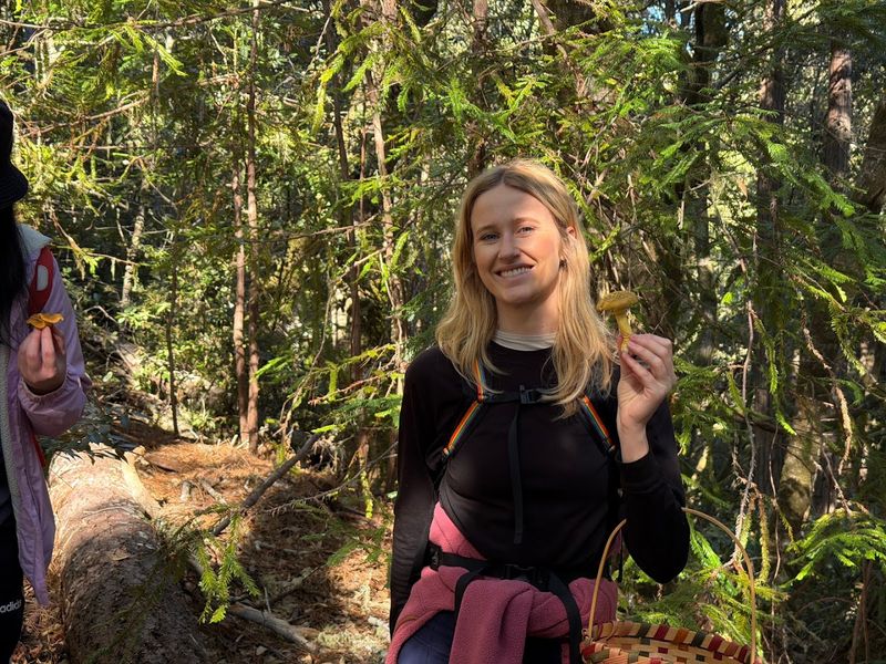 This California Foraging Adventure Turns Bay Area Parks And Beaches Into A Wild Food Classroom - Decor Hint Learn Which Wild Plants Are Actually Edible