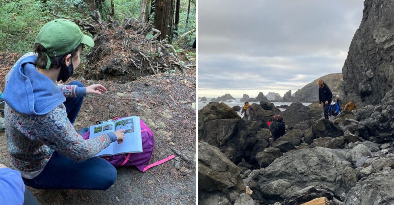 This California Foraging Adventure Turns Bay Area Parks And Beaches Into A Wild Food Classroom