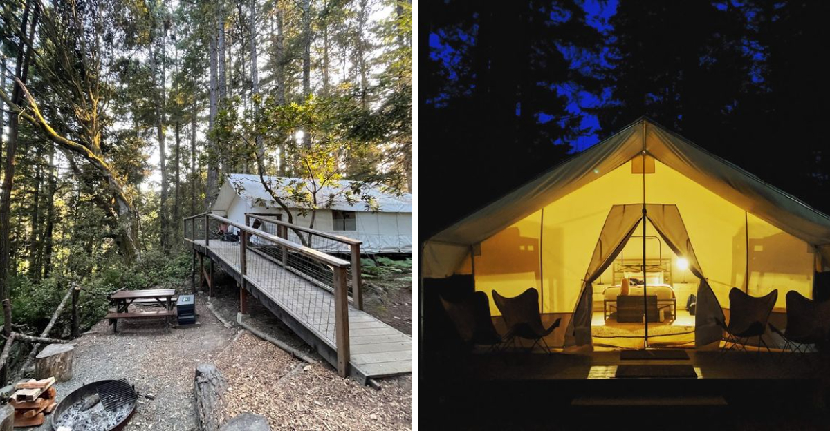 This California Glamping Retreat Puts Heated Beds And Hot Showers In A Coastal Forest - Decor Hint